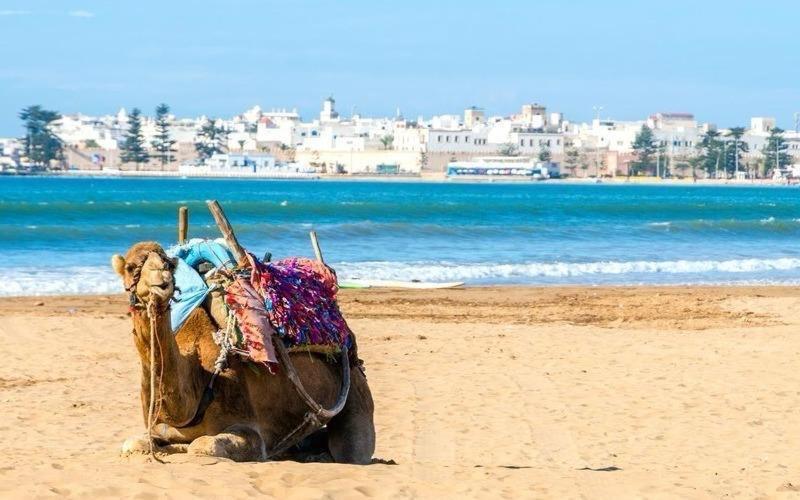 Appartement Essaouira Proche De La Mer Exterior foto